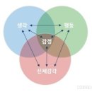 스케마