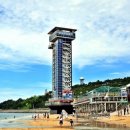 신비바이크 이미지