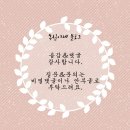[지우펫 후기] 골든햄스터 공룡이너 솔직 후기