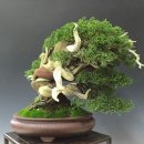 설 카페 이미지