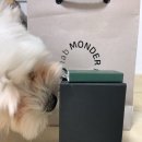 방배로30길 31 | #37. 2019년 마지막!