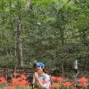 용봉약수터 이미지