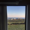 영목장 | 제주 여행 브이로그 2 - 마요피갤러리, 제동목장, 렛츠런팜, 비밀의 숲, 갈갈팜랜드, 블루엘리펀트, 몽탄