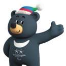 가리왕산목장 이미지