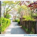 황윤길 묘 이미지