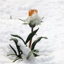 설화 - 노원구 상계로5길 12 | 설화