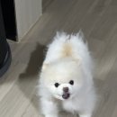 김봉단