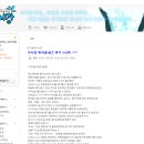 인어클럽포켓볼 | 수사강 북극곰 수영대회 참가 후기