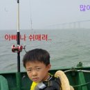 신연안낚시 반가워호