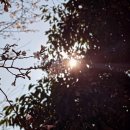 장수돼지국밥 | [부산 구포동] 장수돼지국밥 내돈내산 후기