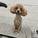 뭉치쌀롱 이미지