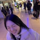 미락칼국수 이미지