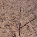 설성호두농원 이미지