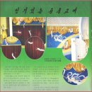 [경남대학교 극동문제연구소]북한 문학예술 ③용어풀이로 살펴본 북한의 교예예술 이미지