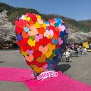 에덴 | 경기도 가평 가볼만한곳 에덴벚꽃길 축제후기 봄 막차 탑승