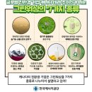 그린마크로 이미지