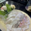 이도횟집 | 두툼한 숙성회가 맛있는 신당횟집 이도 방문 후기