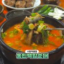 서울소공동우체국 | 서울 시청역 맛집 농민백암순대 주말 웨이팅 토종순대 인생순대국 추천
