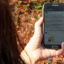 모바일 취업준비생 늘어..."직종별로 달라" 이미지