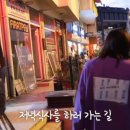 터키 길거리에서 쉬고있는 강아지들 (feat. 식빵언니김연경) 이미지