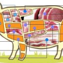 돼지우리 이미지