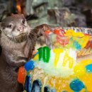 롯데월드아쿠아리움 이미지