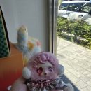 아우아(aua) 이미지