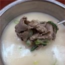 넓고 쾌적한 설농탕 맛집 명가원설농탕 후기