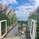 농업회사법인미소한우주식회사 | 울산 간절곶 헤이메르 펜션 내돈내산 후기 - 마린 B동, 바베큐