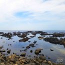 주상절리 전망대 화장실 이미지