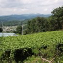 박정자농장 이미지