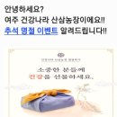 건강나라산삼농장