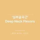 플레로필라테스