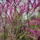 비블리아성서식물원 이미지