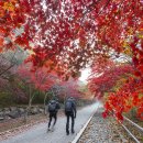 수락모텔 이미지