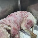 주주동물병원 이미지