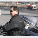 번개더덕