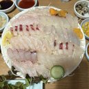 신촌 노포 맛집 동해횟집 모둠회와 수제비매운탕