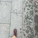 깔쌈한김밥 | 광주 동명동 신상술집 ! 일본식 느낌이 가득한 온전한실내 : 안주맛집