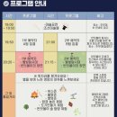 “엄마 또 가자!” 소리 들었던 영암곤충박물관 솔직후기