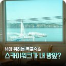 워시랜드목포점 | 목포대교 뷰 끝판왕! 유달유원지 앞 호텔 부럽지 않은 오션뷰 펜션 유스테이