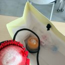 정말잘살고싶어...그런데아직도방법을찾지못했어그래도하나확실한건이런생각을갖고하루하루사는게모이고...