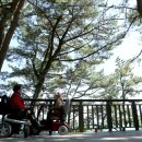 내장산국립공원화장실(생태공원) 이미지