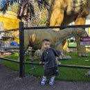 산재장애인협회 무료경로식당 | 25개월 아기와 서울랜드 다녀온 후기 및 팁(키제한 놀이기구 정리)