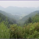 부론초등학교 이미지