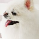 소답동237 이미지