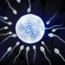 수정-123 이미지