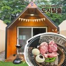 [인덕원/평촌]안양 글램핑 식당 도시탈출 후기 반려동물동반 캠핑감성 고깃집