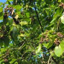 2차 집회 이미지