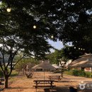 프레쉬 힐 이미지